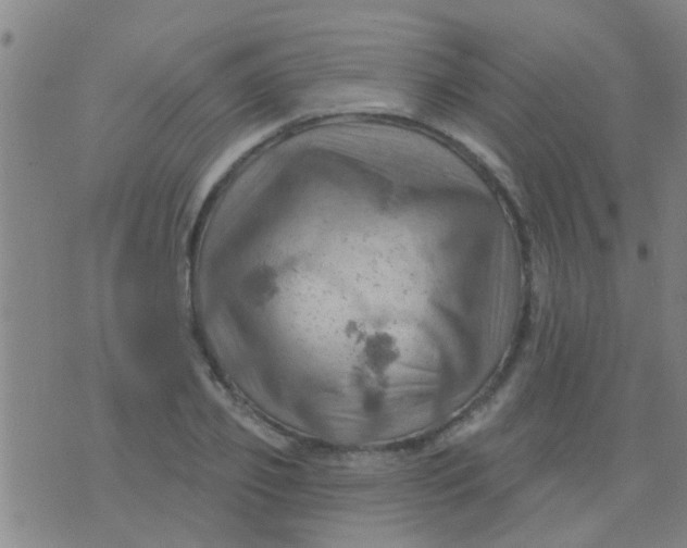 X0000075830933200610061818