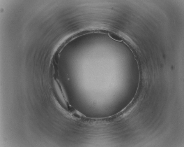 X0000075830934200610061818