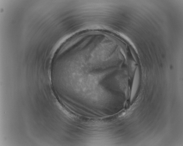 X0000075830935200610061818