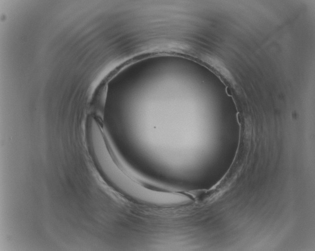 X0000075830936200610061818