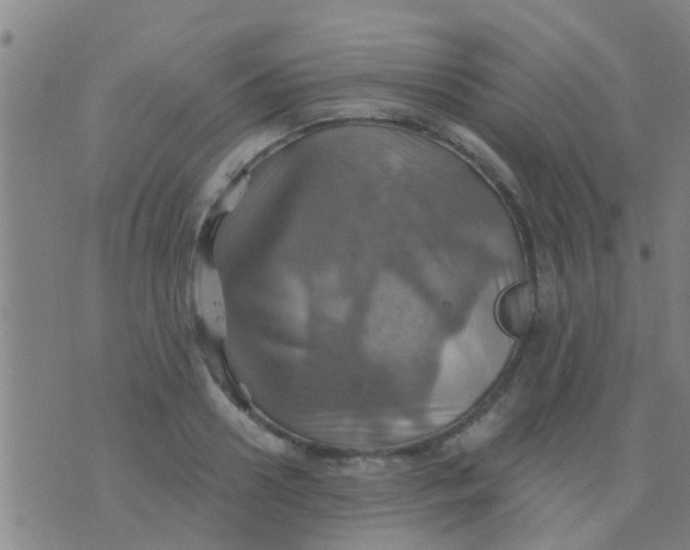 X0000075830938200610061818