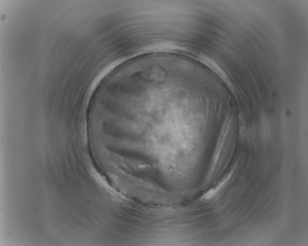 X0000075830939200610061818