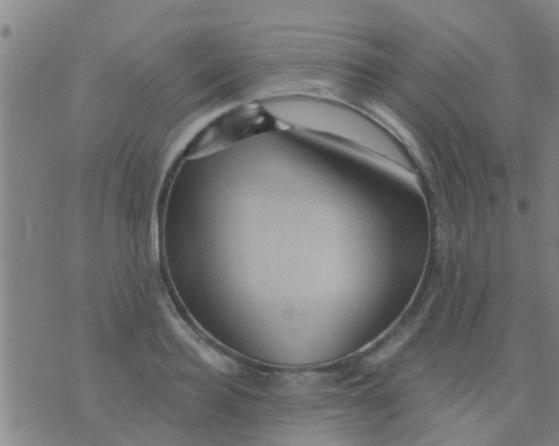 X0000075830940200610061818