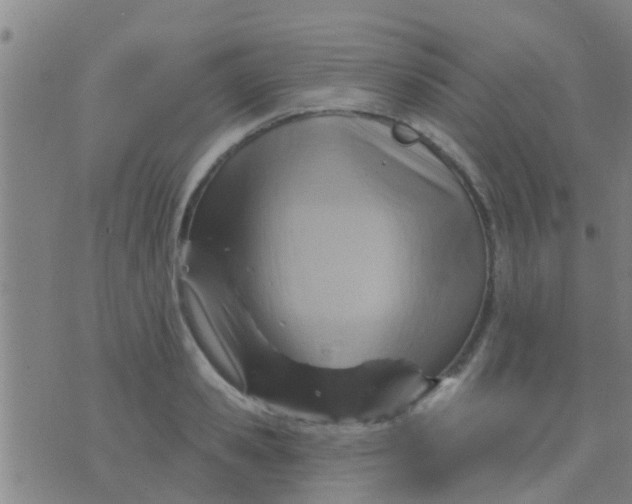 X0000075830941200610061818