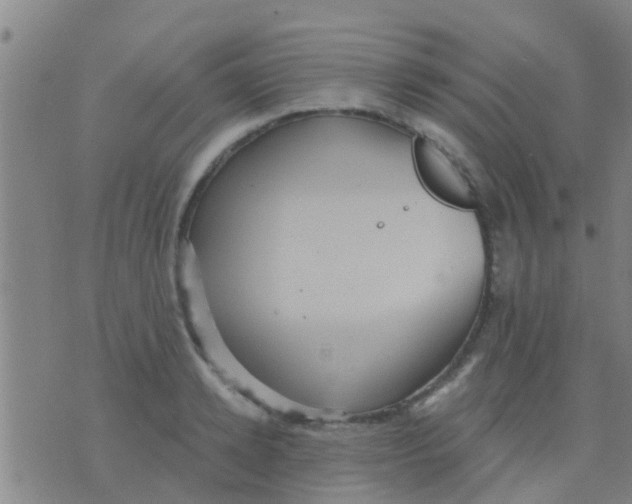 X0000075830942200610061818