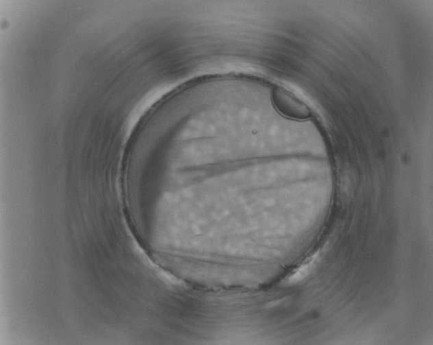 X0000075830943200610061818