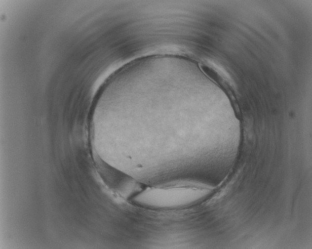 X0000075830944200610061818