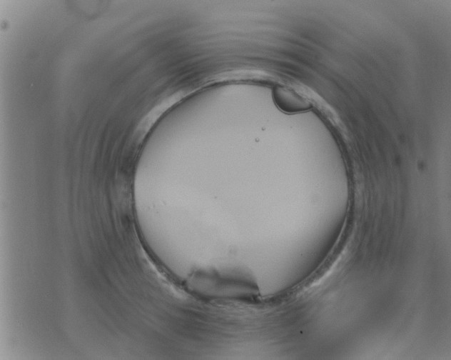 X0000075830945200610061818