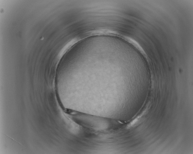 X0000075830946200610061818