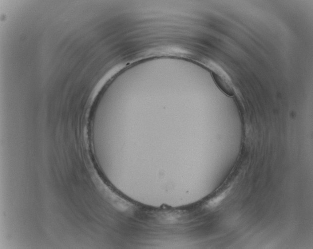 X0000075830947200610061818