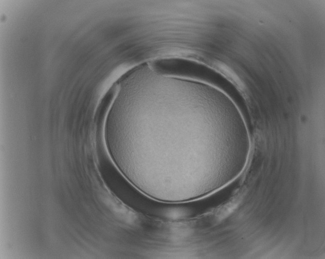 X0000075830948200610061818