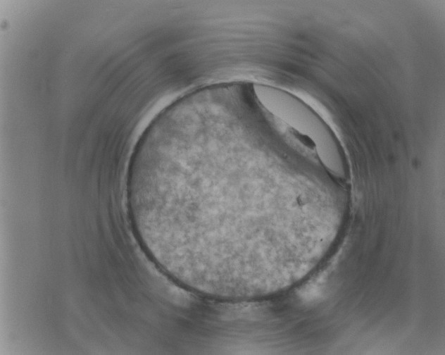 X0000075830949200610061818