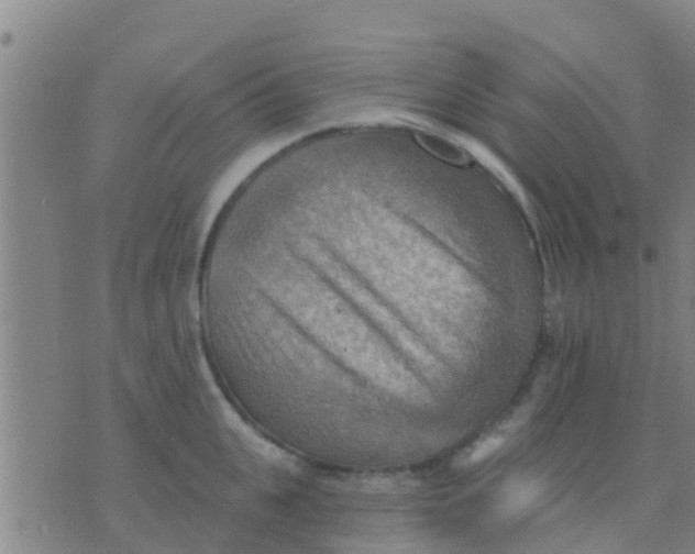 X0000075830951200610061818