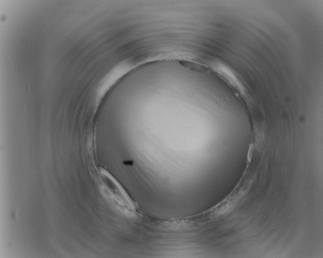 X0000075830952200610061819