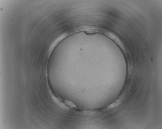 X0000075830954200610061819