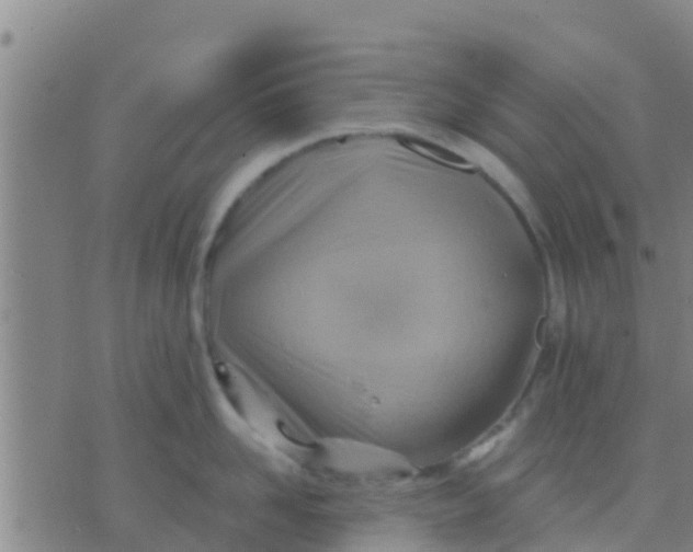 X0000075830958200610061819