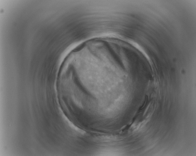 X0000075830959200610061819