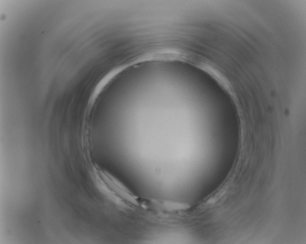 X0000075830960200610061819