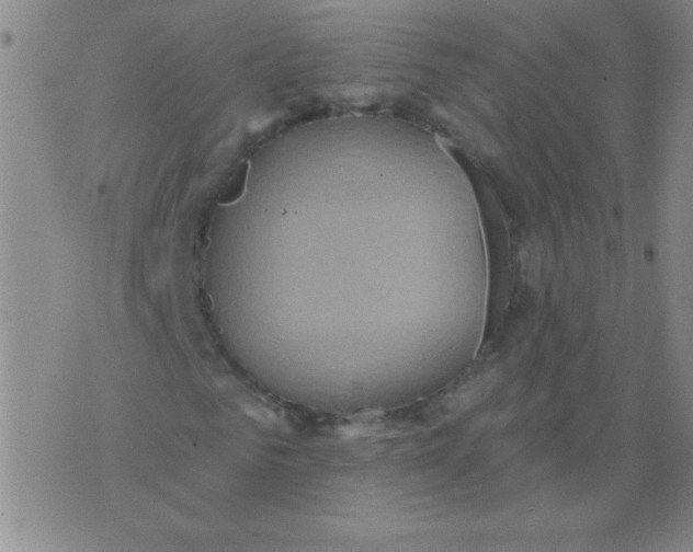 X0000075830961200610061818