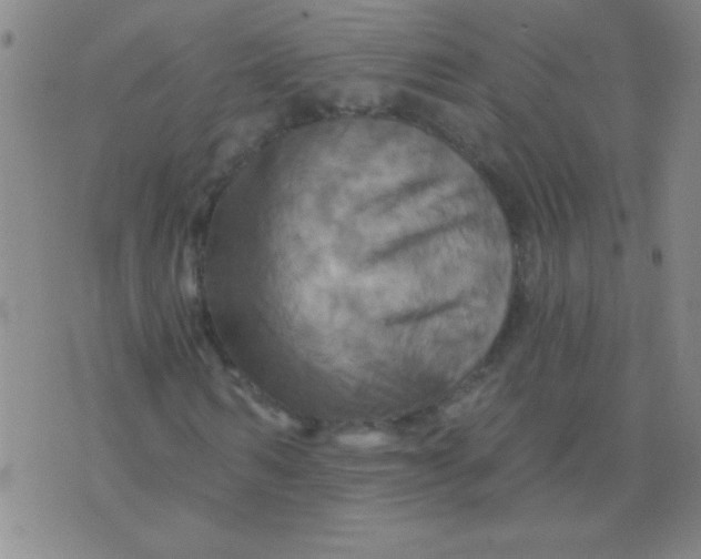 X0000075830962200610061818