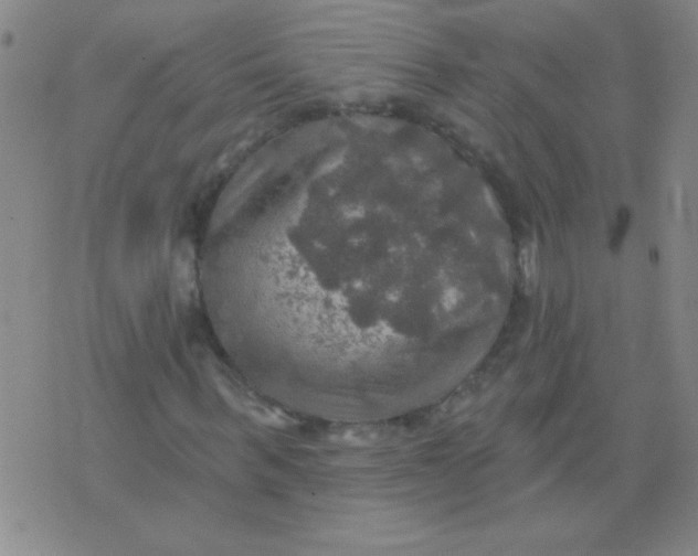 X0000075830963200610061818