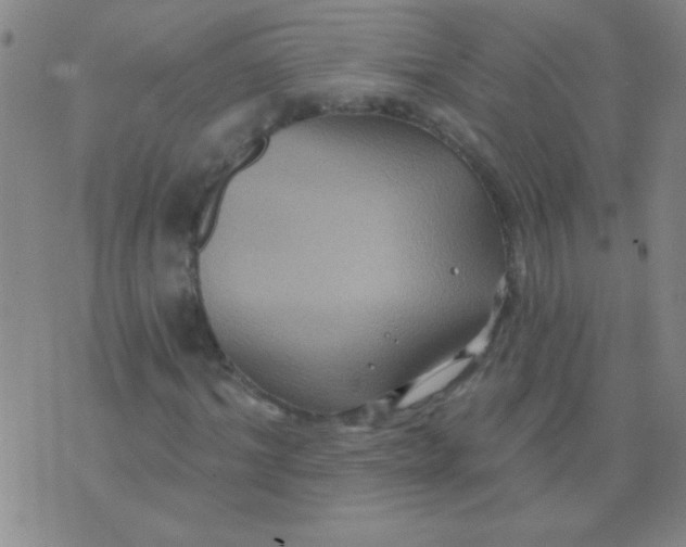 X0000075830964200610061818