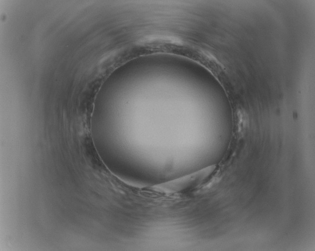 X0000075830965200610061818