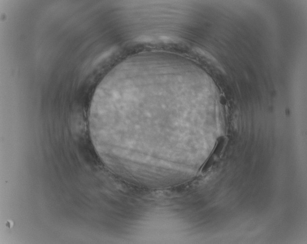 X0000075830966200610061818