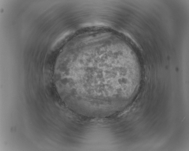 X0000075830967200610061818