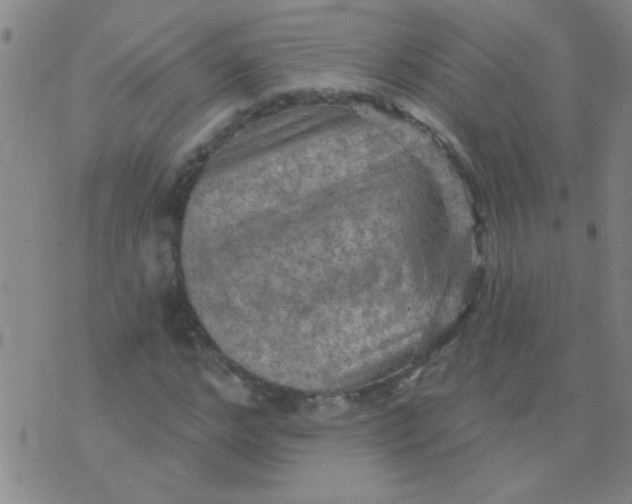 X0000075830968200610061818