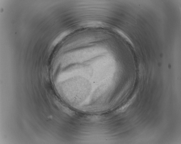 X0000075830970200610061818