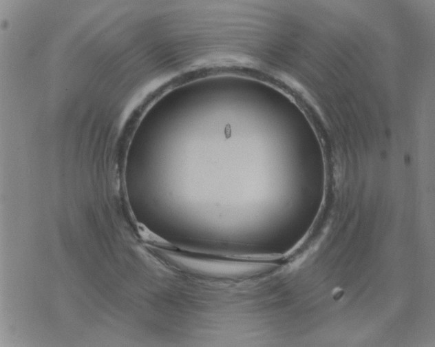 X0000075830973200610061818