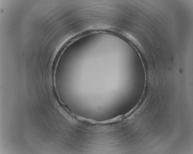 X0000075830976200610061818