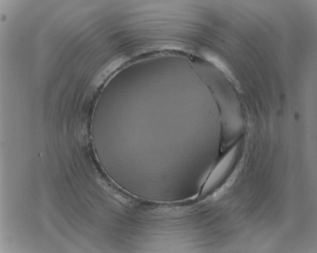 X0000075830977200610061818