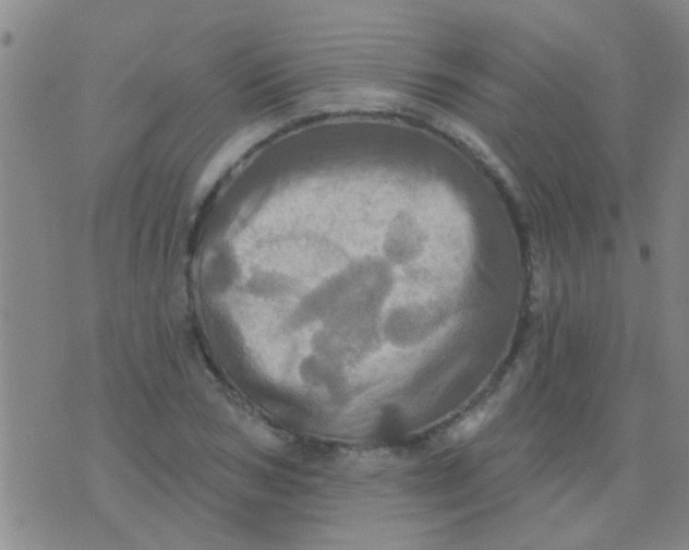 X0000075830978200610061818