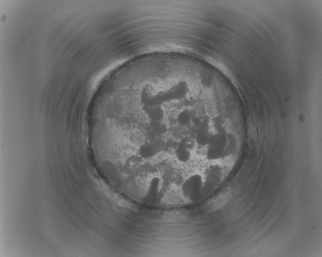 X0000075830979200610061818