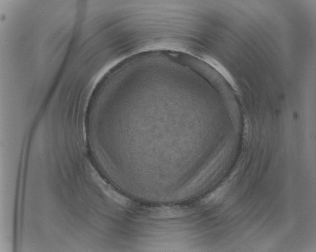 X0000075830980200610061817