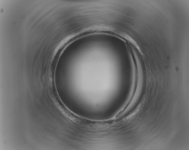 X0000075830981200610061817