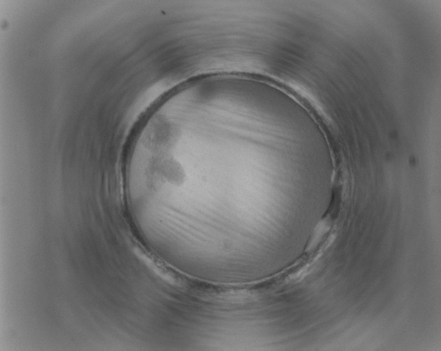 X0000075830982200610061817