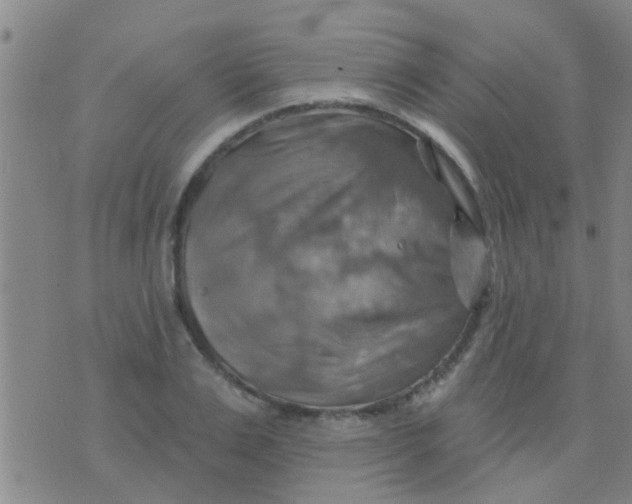 X0000075830983200610061817