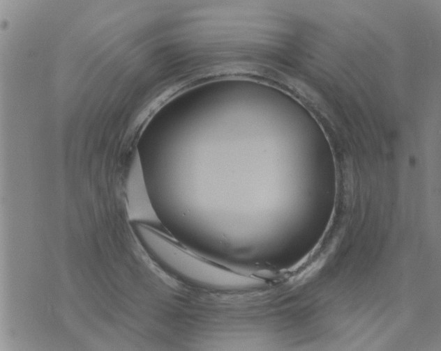 X0000075830985200610061817