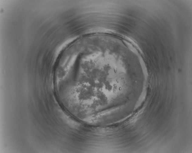 X0000075830987200610061817