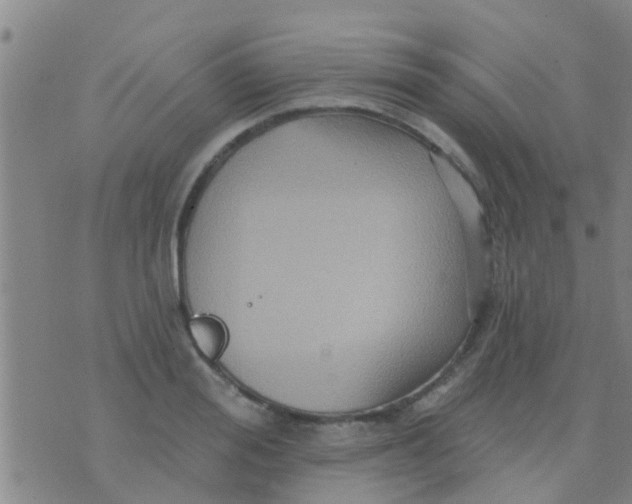 X0000075830988200610061817