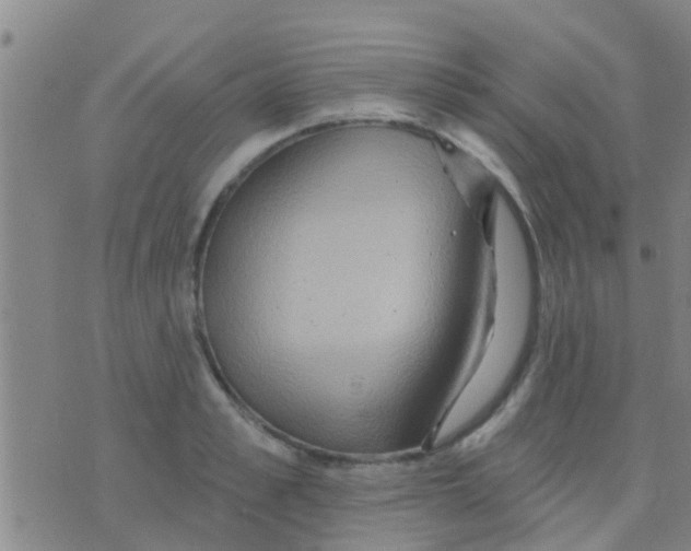 X0000075830989200610061817