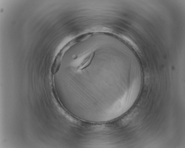 X0000075830990200610061817