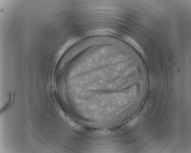 X0000075830994200610061817