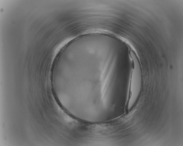 X0000075830995200610061817