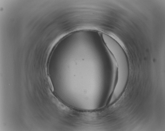 X0000075830996200610061817