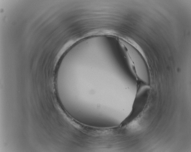 X0000075830997200610061817