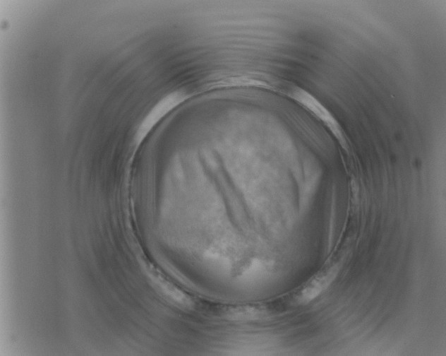 X0000075831002200610061817